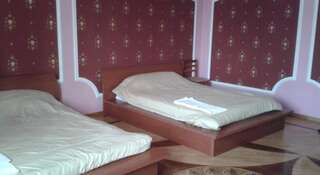 Гостиница Мини-отель Вилис Сходня Стандартный двухместный номер с 2 отдельными кроватями-6